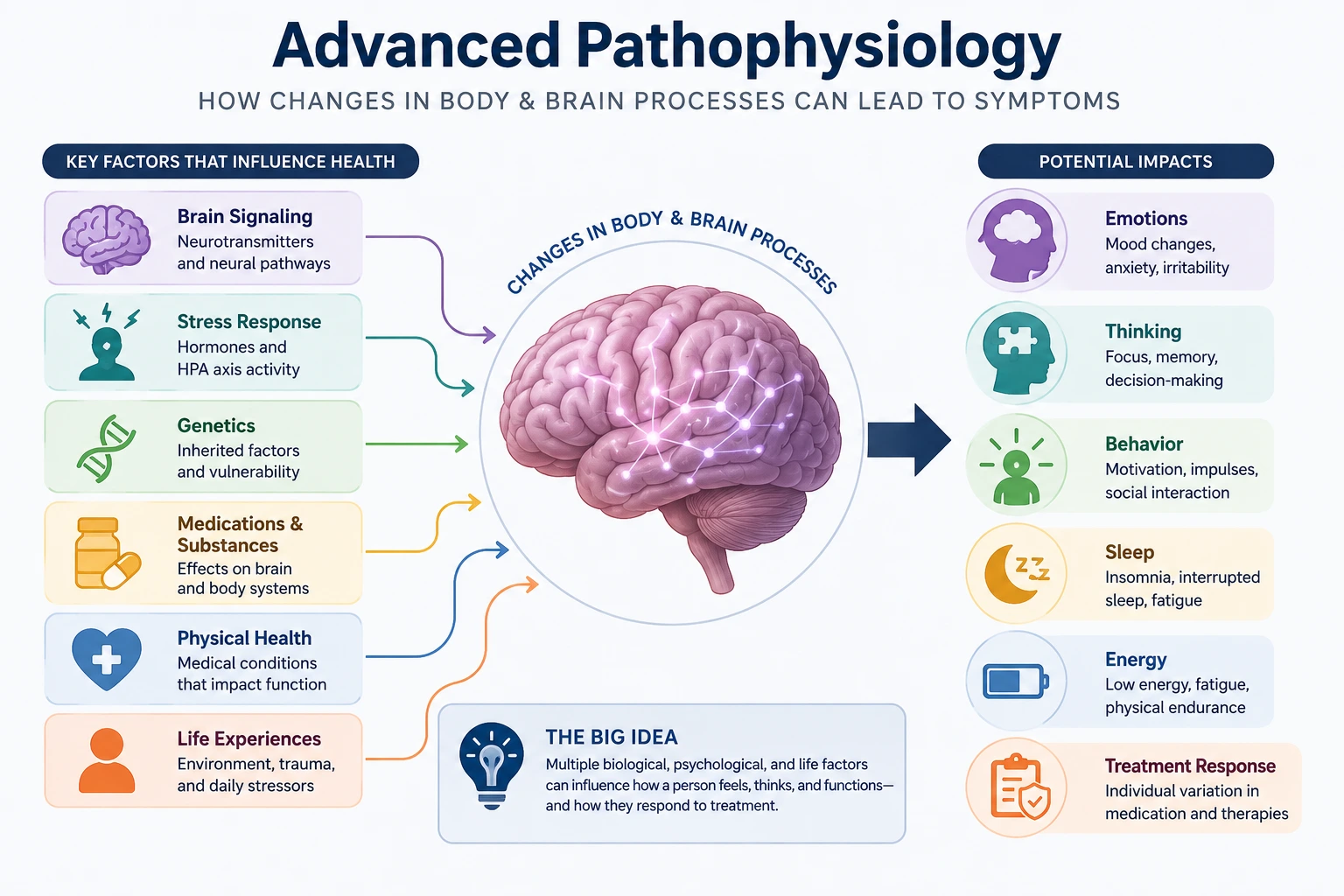 Infographic showing how biological and life factors affect brain processes, emotions, thinking, behavior, sleep, energy, and treatment response.
